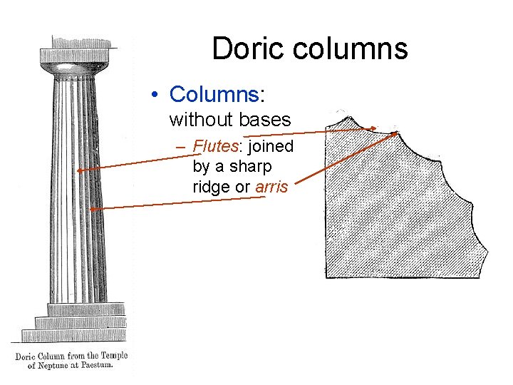 Doric columns • Columns: without bases – Flutes: joined by a sharp ridge or