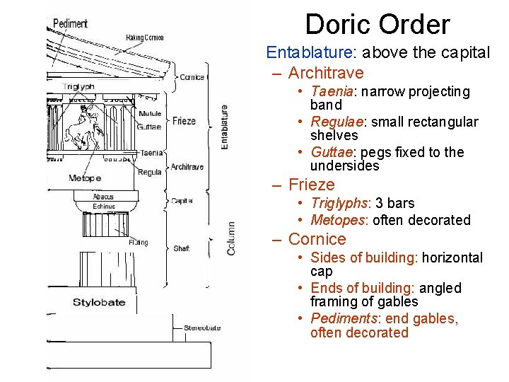 Doric Order • Entablature: above the capital – Architrave • Taenia: narrow projecting band