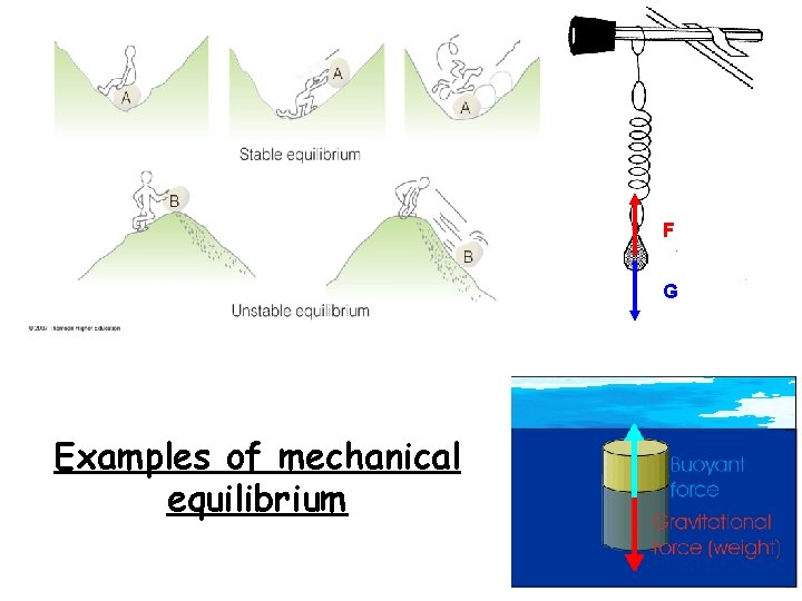 F G Examples of mechanical equilibrium 