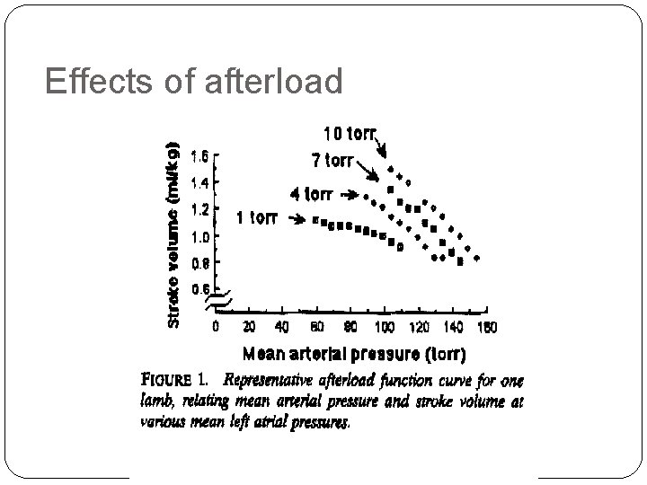 Effects of afterload 
