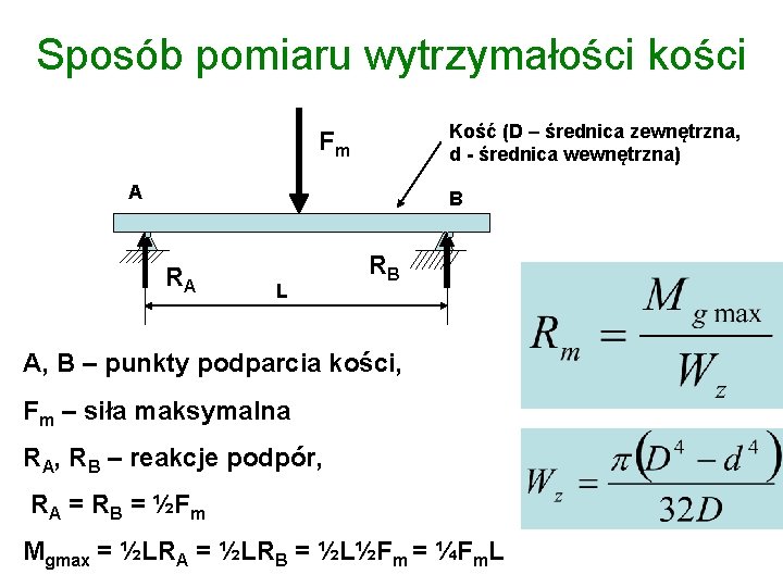 Sposób pomiaru wytrzymałości kości Kość (D – średnica zewnętrzna, d - średnica wewnętrzna) Fm