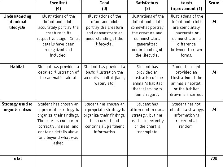 Excellent (4) Good (3) Satisfactory (2) Needs Improvement (1) Understanding of animal lifecycle Illustrations