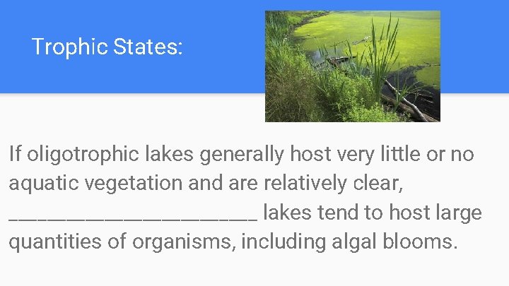 Trophic States: If oligotrophic lakes generally host very little or no aquatic vegetation and