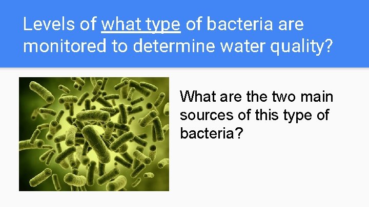 Levels of what type of bacteria are monitored to determine water quality? Wht What