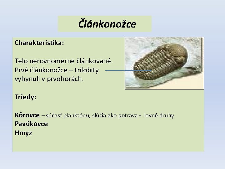 Článkonožce Charakteristika: Telo nerovnomerne článkované. Prvé článkonožce – trilobity vyhynuli v prvohorách. Triedy: Kôrovce