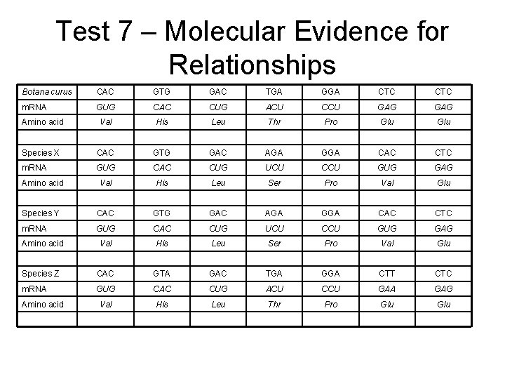 Test 7 – Molecular Evidence for Relationships Botana curus CAC GTG GAC TGA GGA