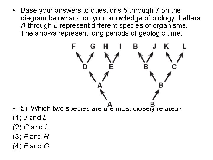  • Base your answers to questions 5 through 7 on the diagram below