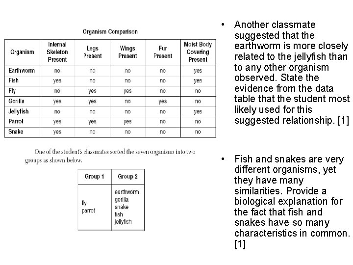  • Another classmate suggested that the earthworm is more closely related to the