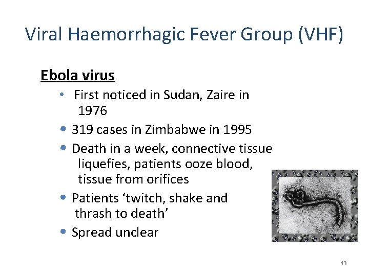 Viral Haemorrhagic Fever Group (VHF) Ebola virus • First noticed in Sudan, Zaire in