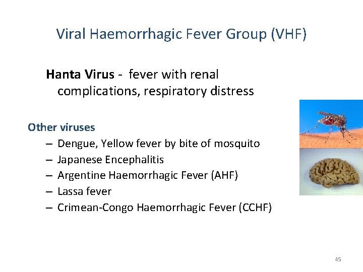 Viral Haemorrhagic Fever Group (VHF) Hanta Virus - fever with renal complications, respiratory distress