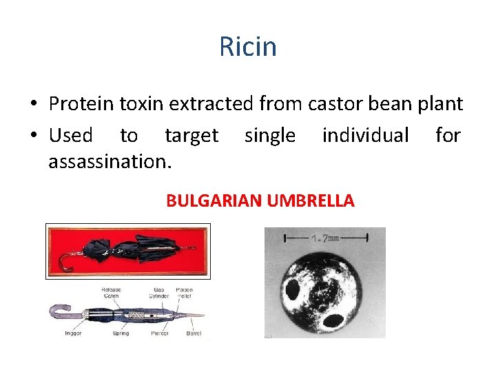 Ricin • Protein toxin extracted from castor bean plant • Used to target single