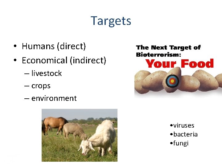 Targets • Humans (direct) • Economical (indirect) – livestock – crops – environment •