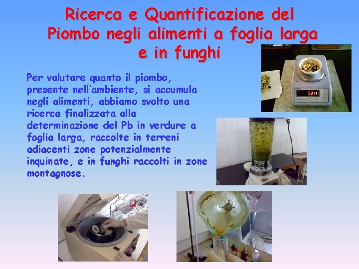 Ricerca e Quantificazione del Piombo negli alimenti a foglia larga e in funghi Per