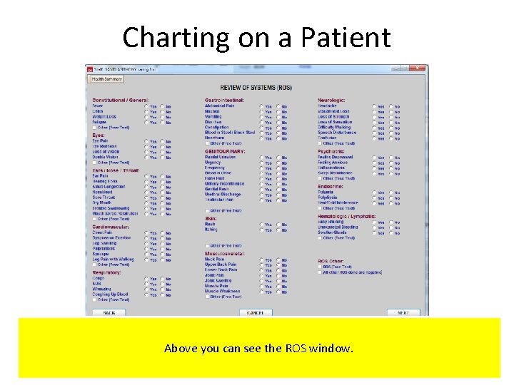 Charting on a Patient Above you can see the ROS window. 