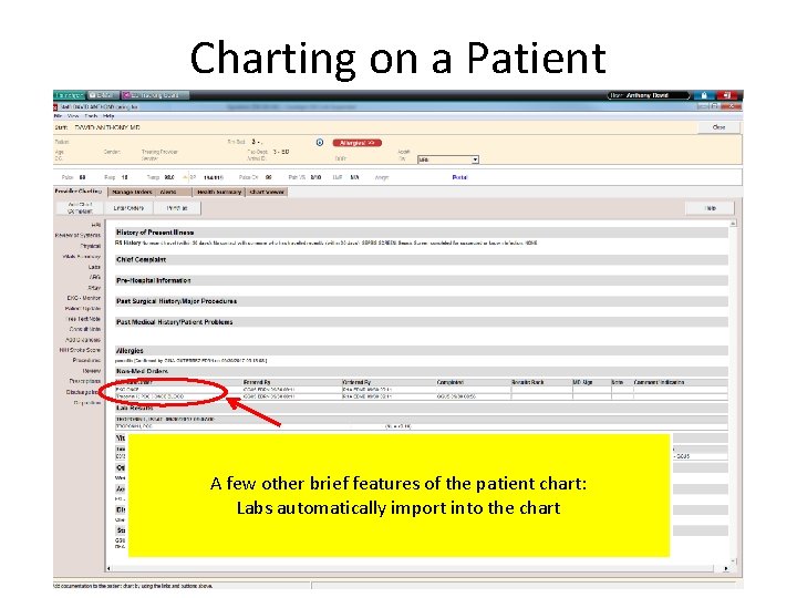 Charting on a Patient A few other brief features of the patient chart: Labs