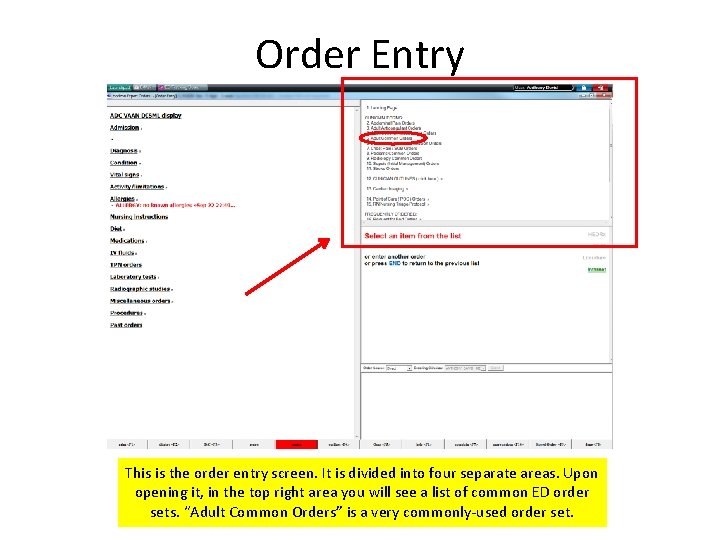 Order Entry This is the order entry screen. It is divided into four separate