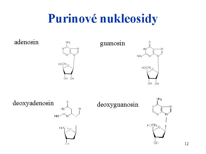 Purinové nukleosidy adenosin deoxyadenosin guanosin deoxyguanosin 12 