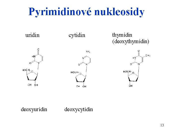 Pyrimidinové nukleosidy uridin deoxyuridin cytidin thymidin (deoxythymidin) deoxycytidin 13 