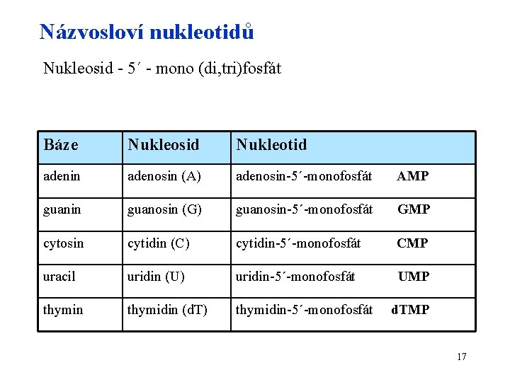 Názvosloví nukleotidů Nukleosid - 5´ - mono (di, tri)fosfát Báze Nukleosid Nukleotid adenin adenosin