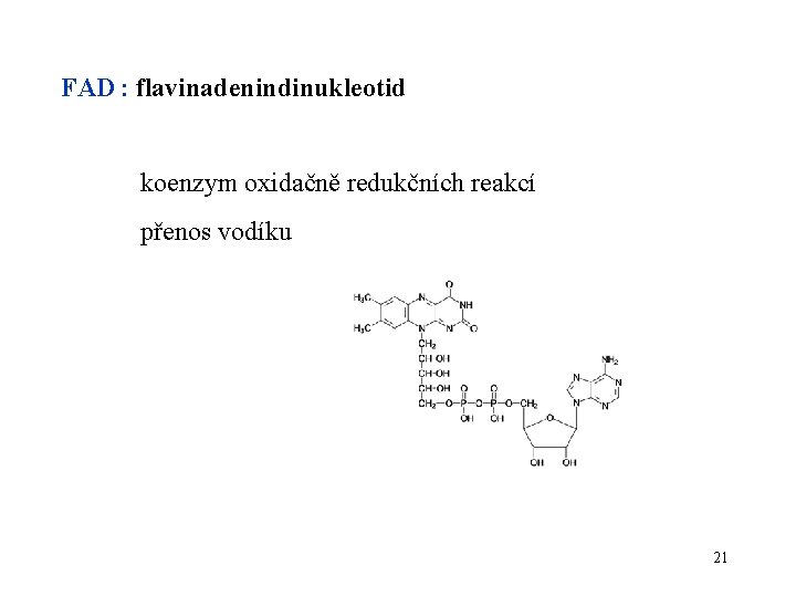 FAD : flavinadenindinukleotid koenzym oxidačně redukčních reakcí přenos vodíku 21 