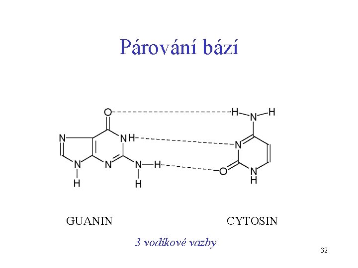 Párování bází GUANIN CYTOSIN 3 vodíkové vazby 32 