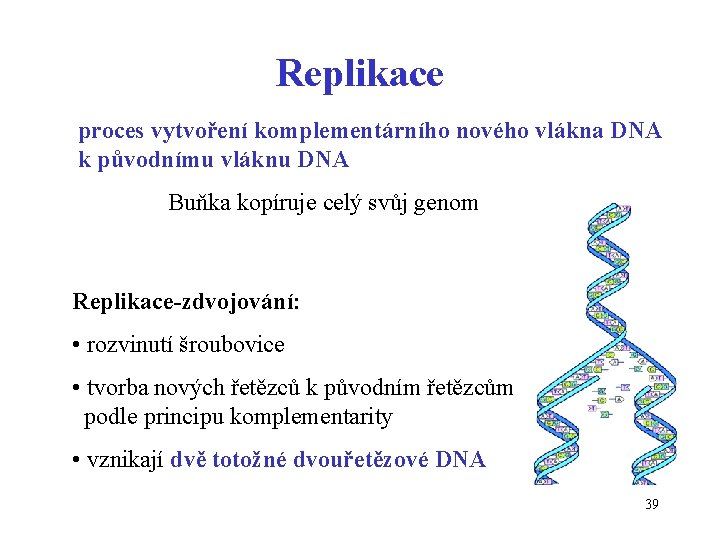 Replikace proces vytvoření komplementárního nového vlákna DNA k původnímu vláknu DNA Buňka kopíruje celý