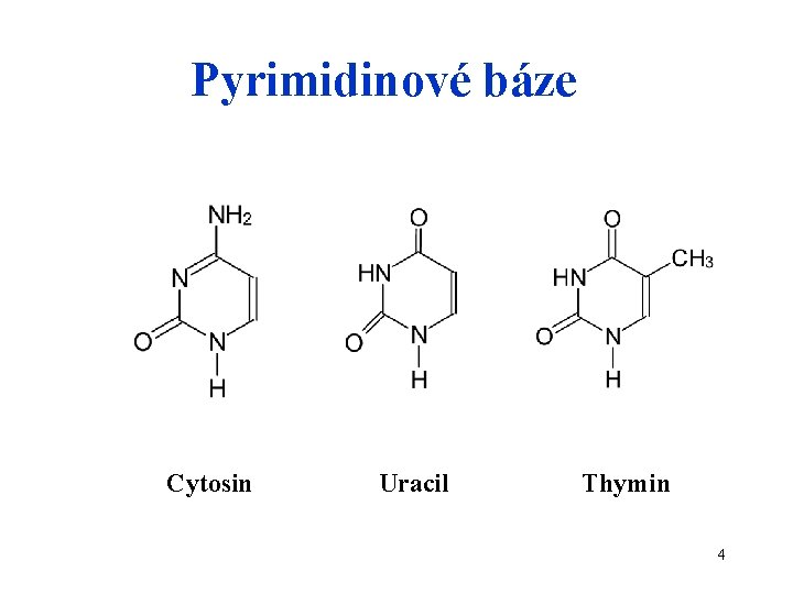 Pyrimidinové báze Cytosin Uracil Thymin 4 