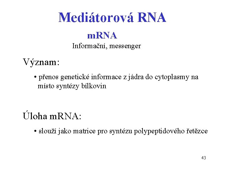 Mediátorová RNA m. RNA Informační, messenger Význam: • přenos genetické informace z jádra do
