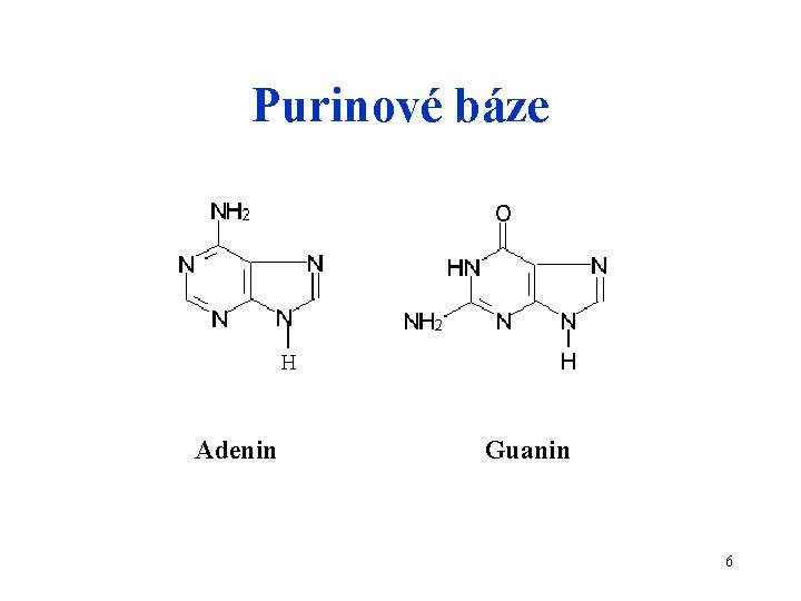 Purinové báze Adenin Guanin 6 