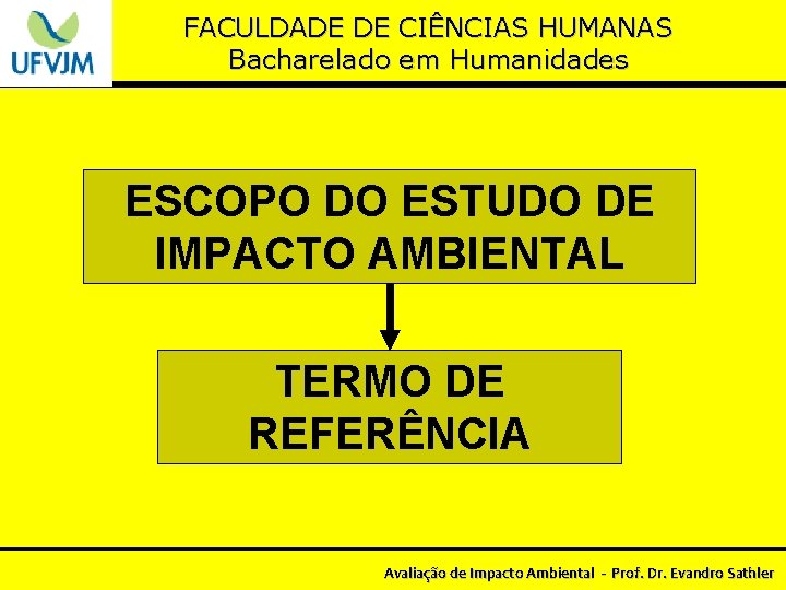 FACULDADE DE CIÊNCIAS HUMANAS Bacharelado em Humanidades ESCOPO DO ESTUDO DE IMPACTO AMBIENTAL TERMO