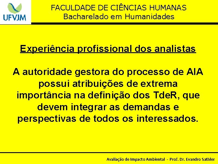 FACULDADE DE CIÊNCIAS HUMANAS Bacharelado em Humanidades Experiência profissional dos analistas A autoridade gestora