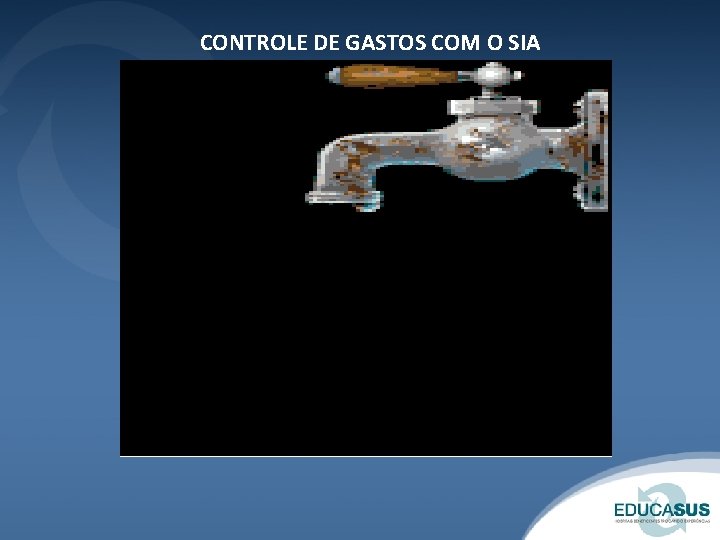 CONTROLE DE GASTOS COM O SIA 