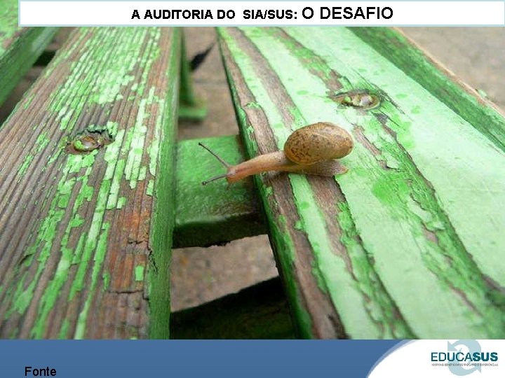 A AUDITORIA DO SIA/SUS: O DESAFIO Fonte 