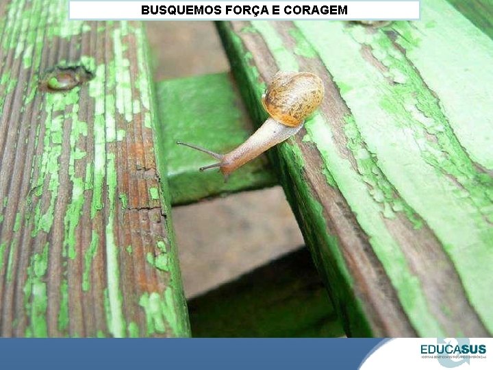 BUSQUEMOS FORÇA E CORAGEM 