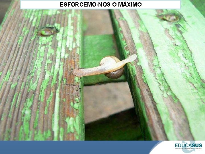 ESFORCEMO-NOS O MÁXIMO 