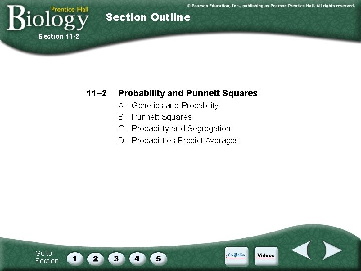 Section Outline Section 11 -2 11– 2 Probability and Punnett Squares A. B. C.