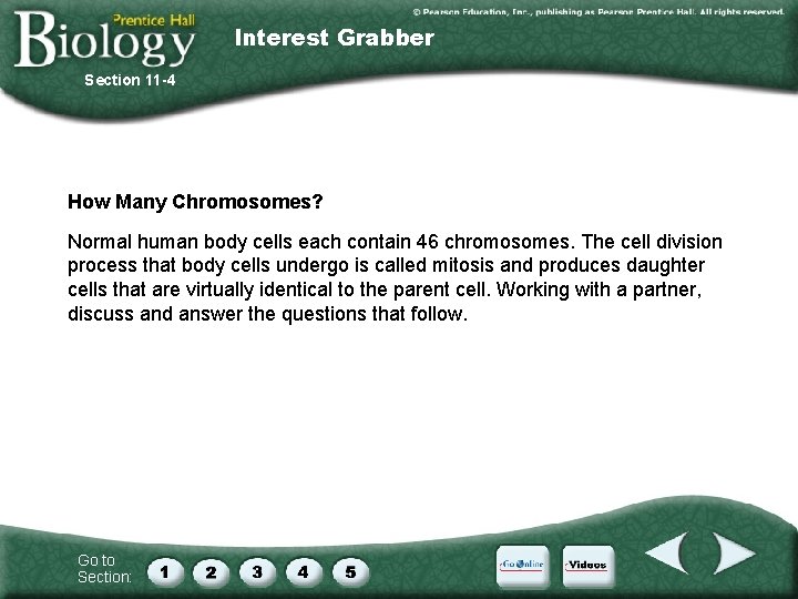 Interest Grabber Section 11 -4 How Many Chromosomes? Normal human body cells each contain