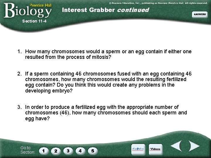 Interest Grabber continued Section 11 -4 1. How many chromosomes would a sperm or