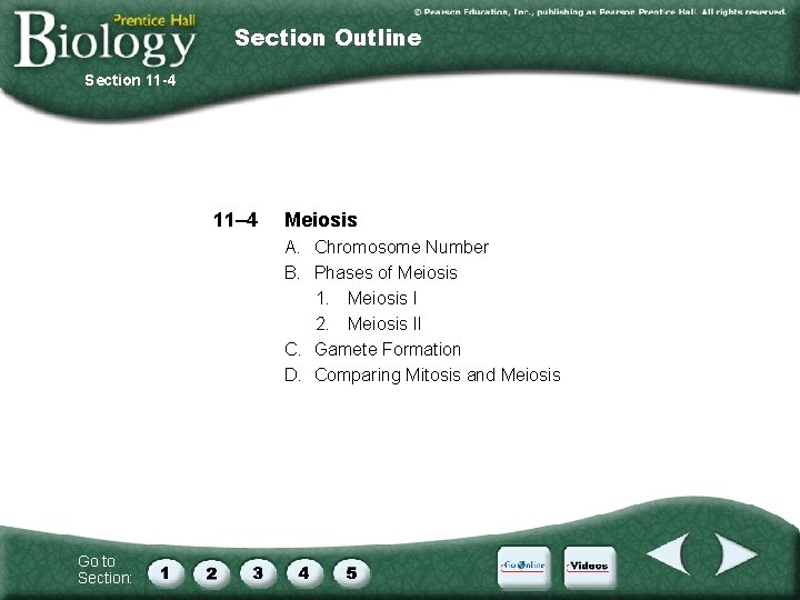 Section Outline Section 11 -4 11– 4 Meiosis A. Chromosome Number B. Phases of