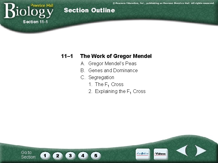 Section Outline Section 11 -1 11– 1 The Work of Gregor Mendel A. Gregor