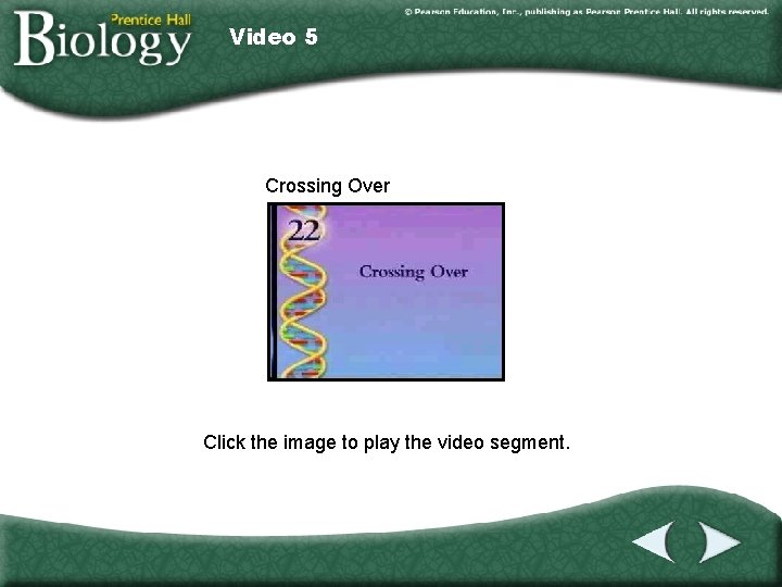 Video 5 Crossing Over Click the image to play the video segment. 