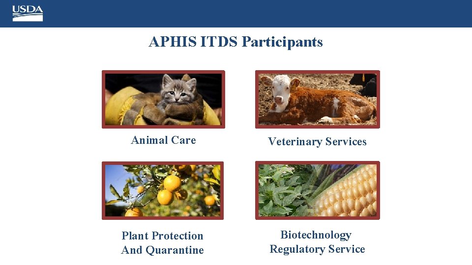 APHIS ITDS Participants Animal Care Veterinary Services Plant Protection And Quarantine Biotechnology Regulatory Service
