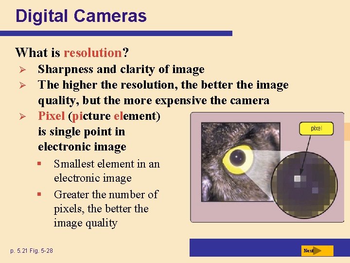 Digital Cameras What is resolution? Ø Ø Ø Sharpness and clarity of image The