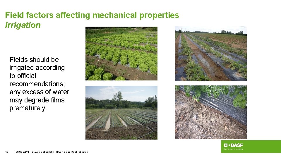 Field factors affecting mechanical properties Irrigation Fields should be irrigated according to official recommendations;