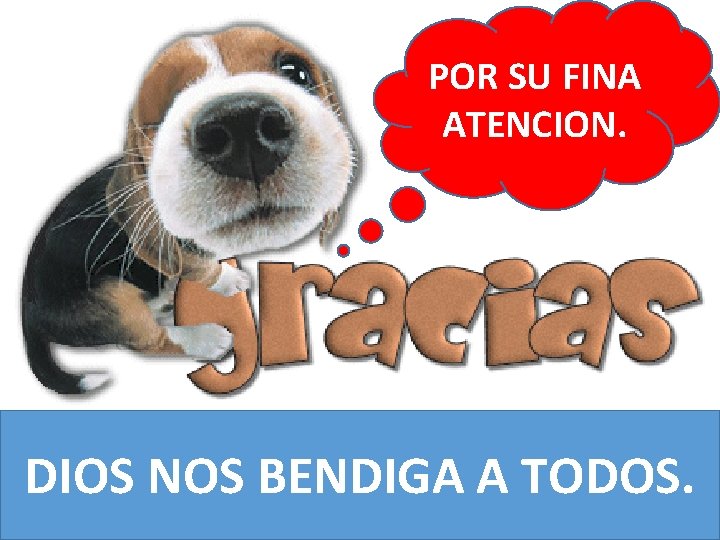 POR SU FINA ATENCION. DIOS NOS BENDIGA A TODOS. 