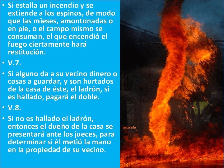  • Si estalla un incendio y se extiende a los espinos, de modo