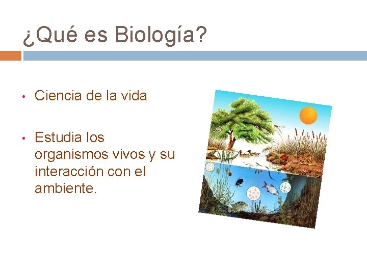 ¿Qué es Biología? • Ciencia de la vida • Estudia los organismos vivos y