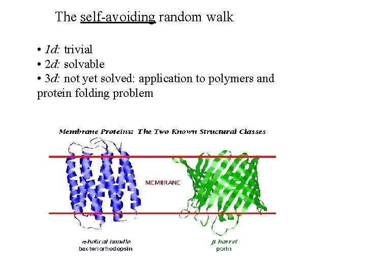 The self-avoiding random walk • 1 d: trivial • 2 d: solvable • 3 The self-avoiding random walk • 1 d: trivial • 2 d: solvable • 3