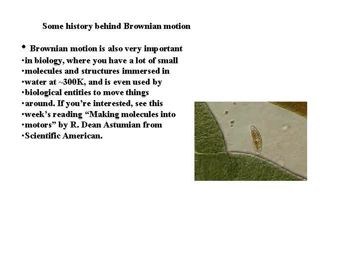 Some history behind Brownian motion • Brownian motion is also very important • in Some history behind Brownian motion • Brownian motion is also very important • in