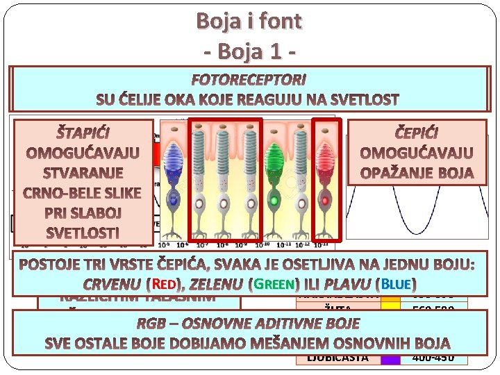 Boja i font - Boja 1 VIDLJIVA FOTORECEPTORI SVETLOST JE ELEKTROMAGNETNO SU ĆELIJE OKAZRA